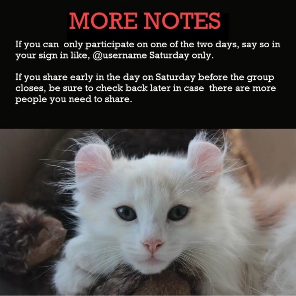 Expired Share Group Item.😽😸 - Picture 5 of 7